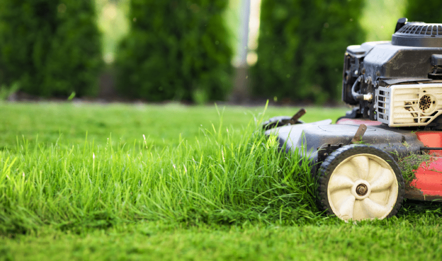 Graciano's Lawn Service 