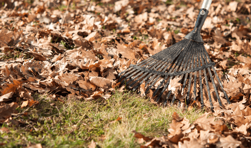 Graciano's Lawn Service 